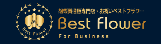 胡蝶蘭専門店サイトへ